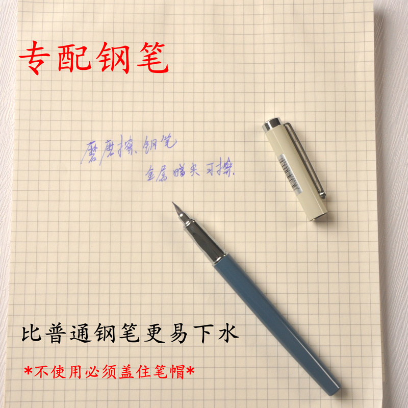 Thermosensitive Erasable Ink 2 - Fountain Pen Bottled Ink 评论和价格