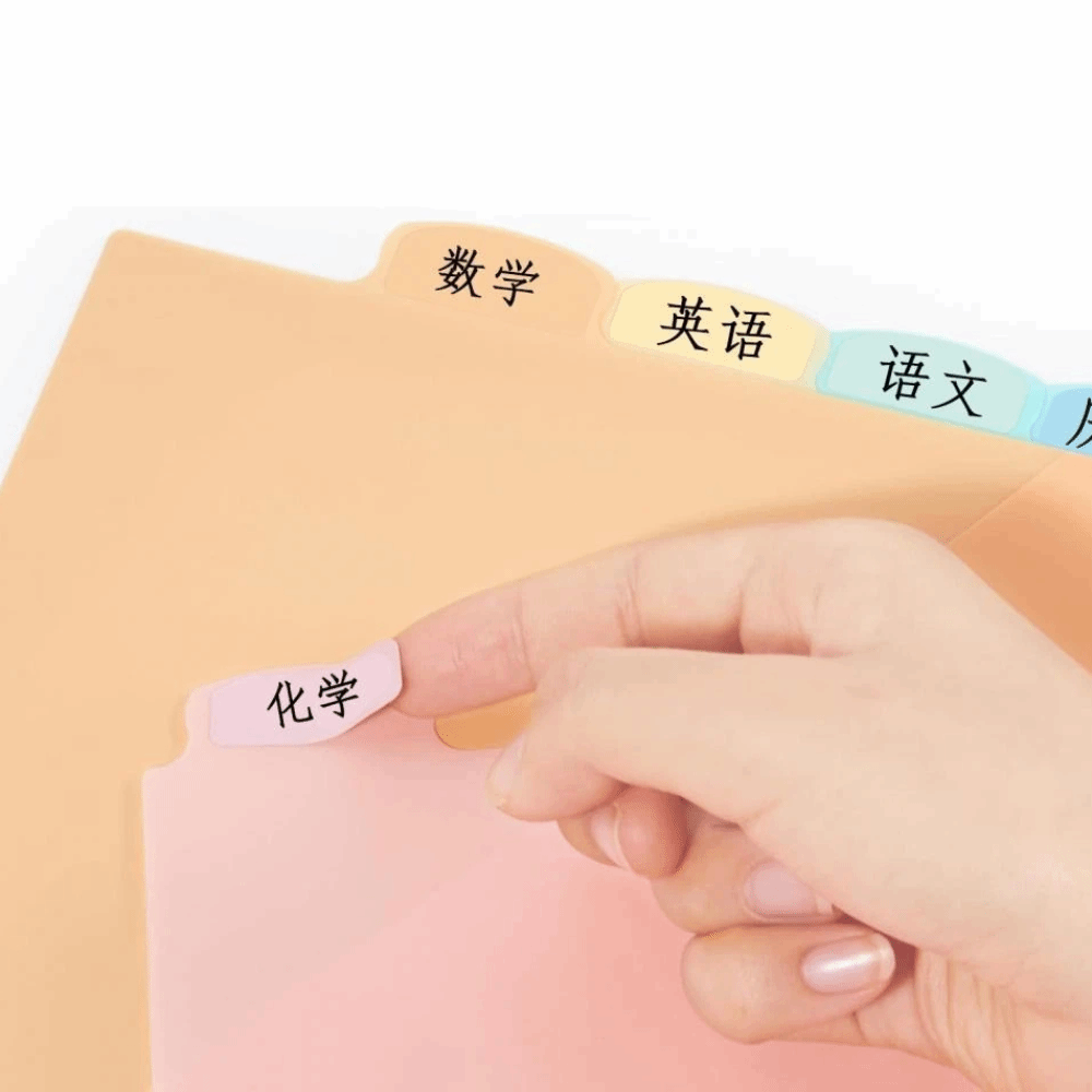 8 pcs Durable A4 Pastel Binder - Tab Divider A4 评论和价格